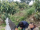 乡村振兴“头雁”学习互动之陈大哥走访1